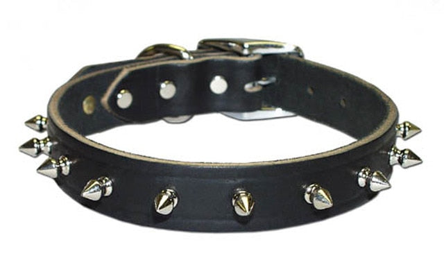 Black leather 2024 spiked dog collar