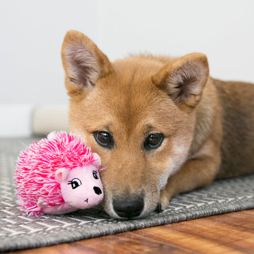 KONG Comfort HedgeHug Puppy Dog Toy