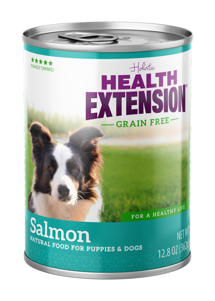 Holistic canned dog food sale