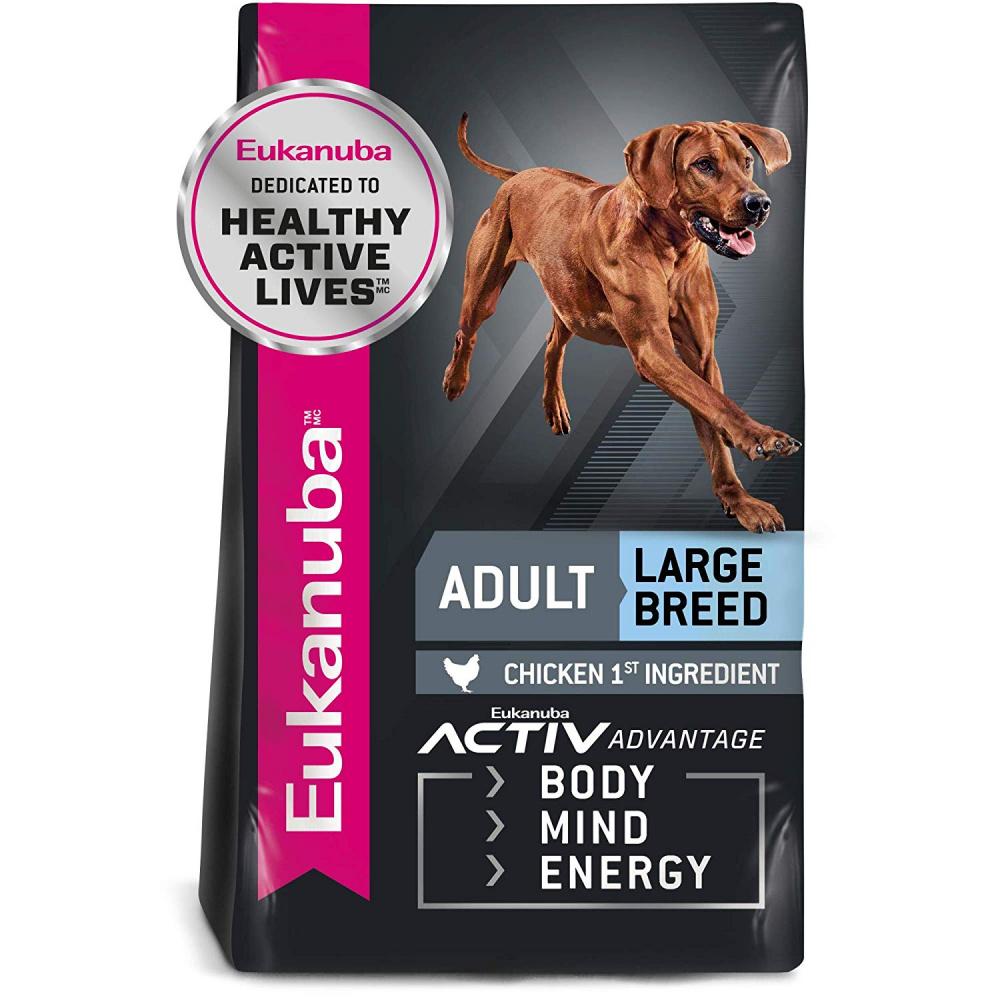 Large dog 2024 breed dog food