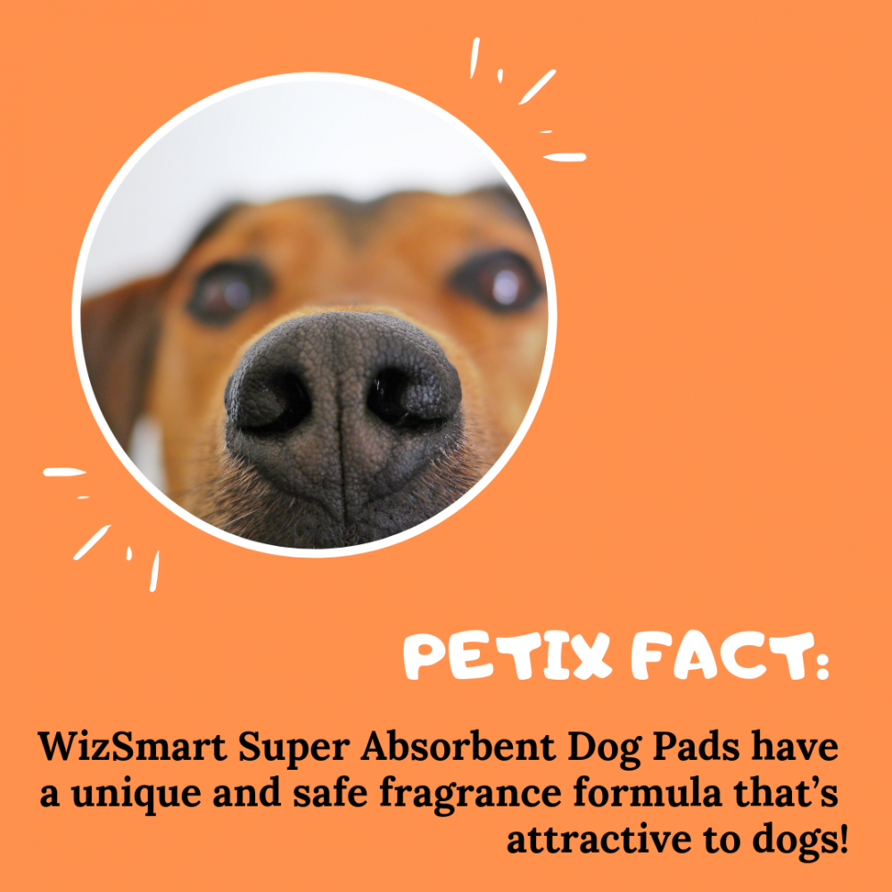 Wiz smart puppy clearance pads