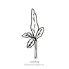 Botanical Interests Long Purple Eggplant Seeds