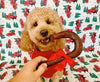 Redbarn Fetchers® Candy Cane Dog Treats