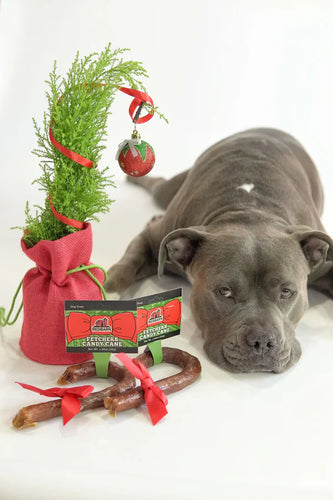 Redbarn Fetchers® Candy Cane Dog Treats