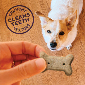 Old Mother Hubbard Crunchy Classic Natural Just Veg'N Biscuits Dog Treats