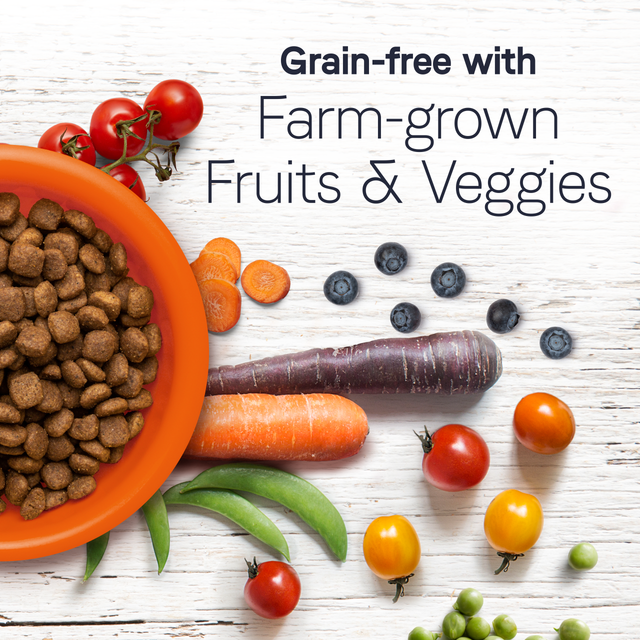 Canidae Under The Sun Grain Free Adult Dog Lamb Deer Park NY