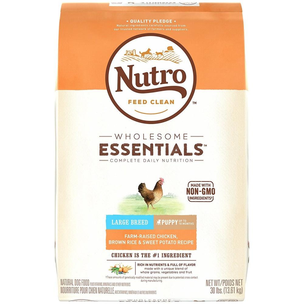 Nutro wholesome essentials large breed adult 2025 dog food chicken