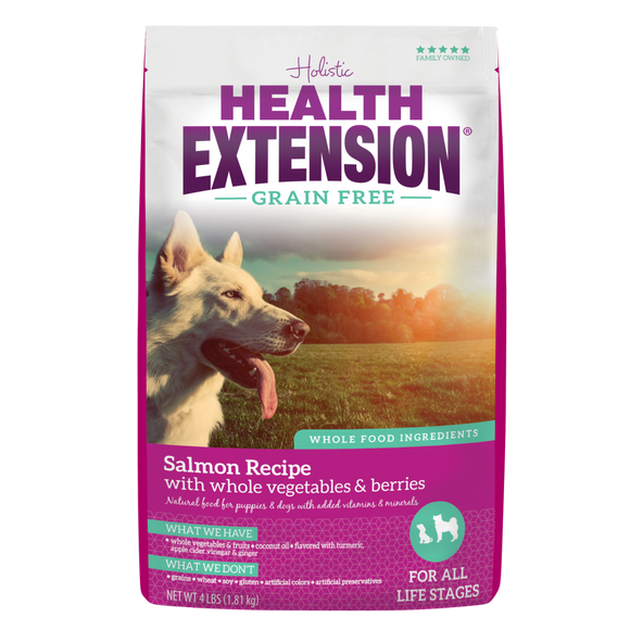 Holistic salmon 2024 dog food