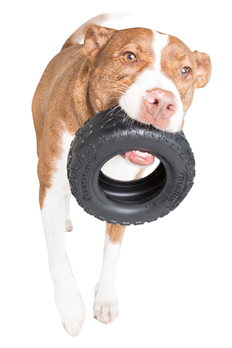 Kong tires hotsell extreme dog toy