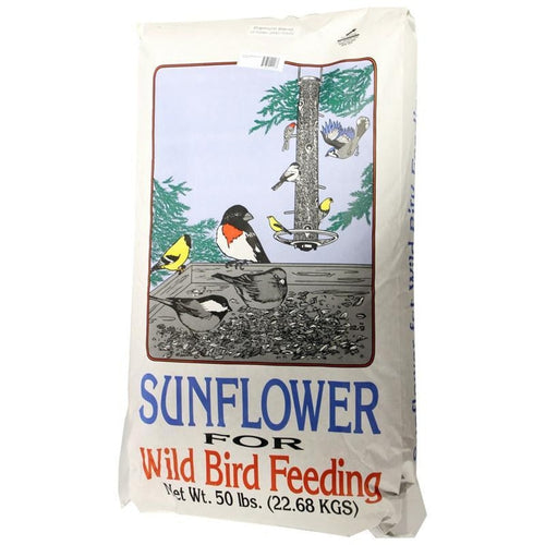 GENERIC PREMIUM SUNFLOWER BLEND