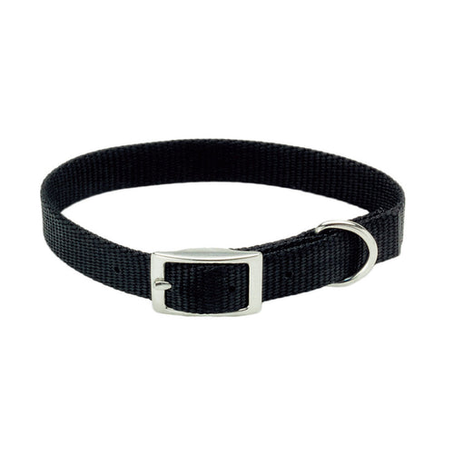 Coastal Pet Products Coastal Single-Ply Dog Collar